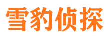 王益找人公司